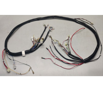 Two Wheeler Wiring Harness Manufacturer, Auto Wiring Harness, India